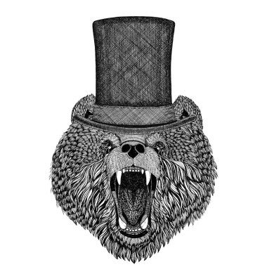 Boz ayı Rus ayısına silindir üst şapka