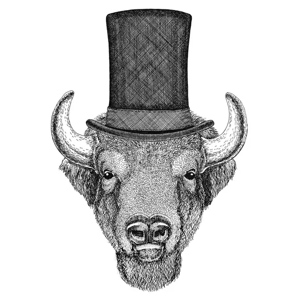 Buffalo, bisonte, boi, touro usando chapéu de topo de cilindro — Fotografia de Stock