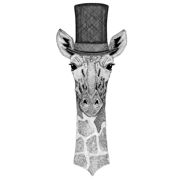 Camélope, girafe portant un chapeau de cylindre — Photo