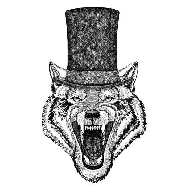Wolf Dog Wild animal wearing cylinder top hat — Stock Photo, Image