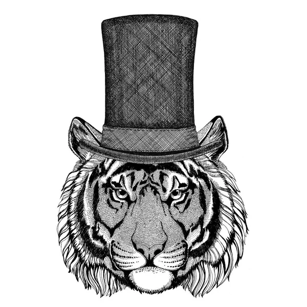 Tigre selvagem usando chapéu superior cilindro — Fotografia de Stock