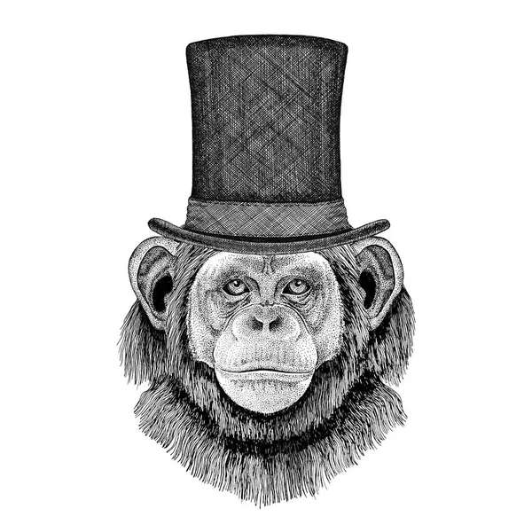 Šimpanz opice nosí válcový cylindr — Stock fotografie