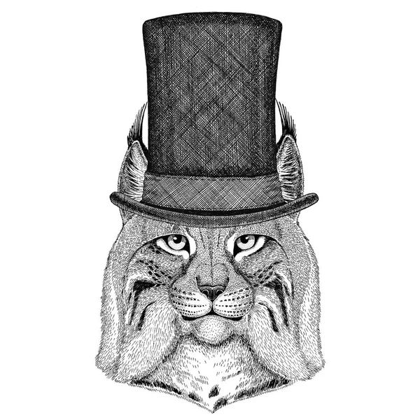 Άγρια γάτα Lynx Bobcat τριποδισμός φορώντας κύλινδρο κορυφή καπέλο — Φωτογραφία Αρχείου