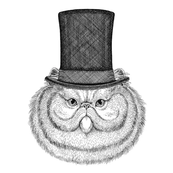 Retrato de gato persa macio usando chapéu superior cilindro — Fotografia de Stock