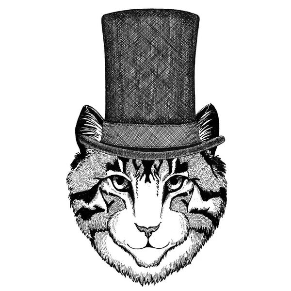 सिलेंडर शीर्ष टोपी पहनने वाली घरेलू बिल्ली की छवि — स्टॉक फ़ोटो, इमेज