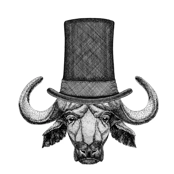 Buffalo, touro, boi usando chapéu de topo de cilindro — Fotografia de Stock