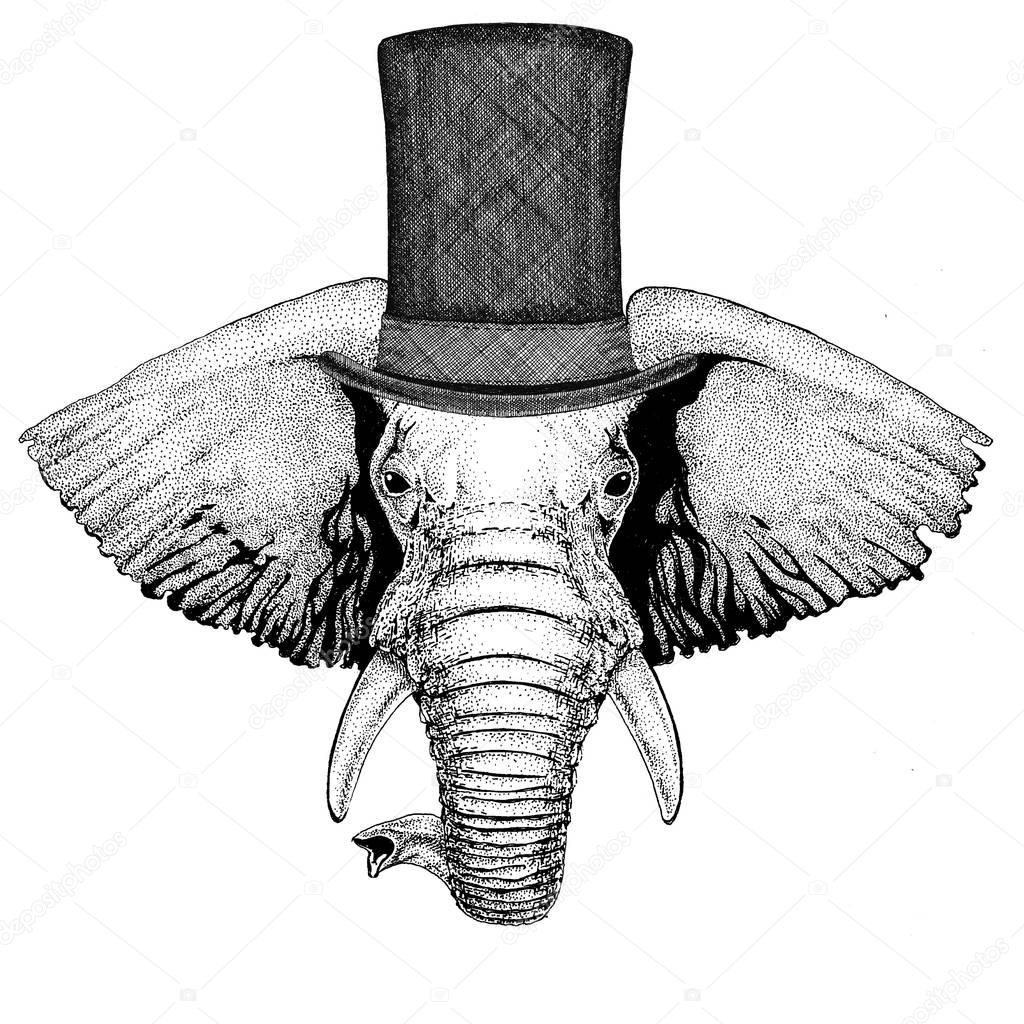 Vintage style drawing Animal wearing cylinder top hat