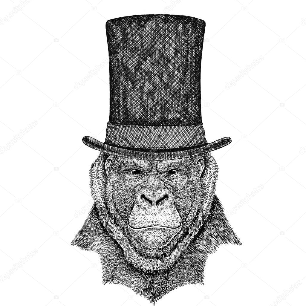 Vintage style drawing Animal wearing cylinder top hat
