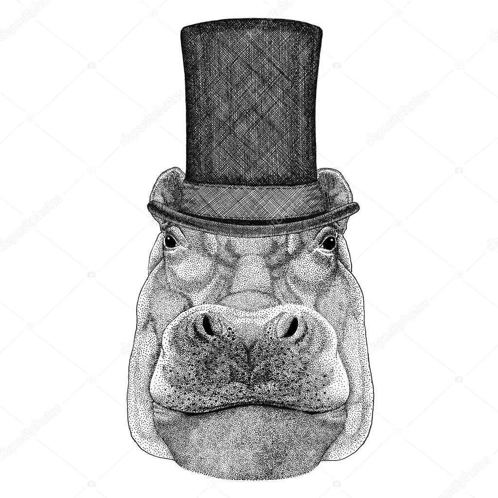 Hippo, Hippopotamus, behemoth, river-horse wearing cylinder top hat