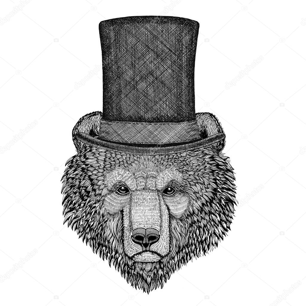 Brown bear Russian bear wearing cylinder top hat