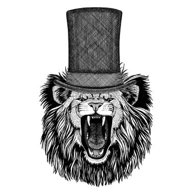 Aslan giyen silindir şapka