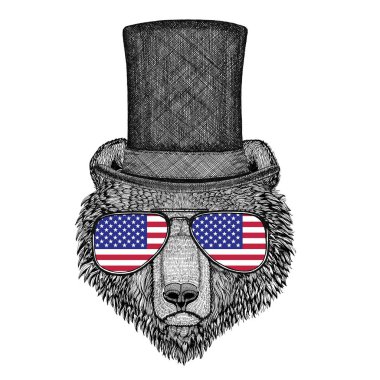 Boz ayı Rus ayısına silindir şapka ve gözlük ABD bayrağı Amerika Birleşik Devletleri bayrağı ile