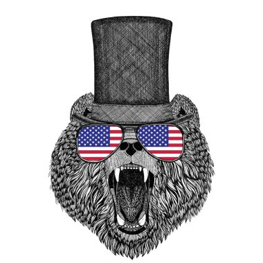 Boz ayı Rus ayısına silindir şapka ve gözlük ABD bayrağı Amerika Birleşik Devletleri bayrağı ile