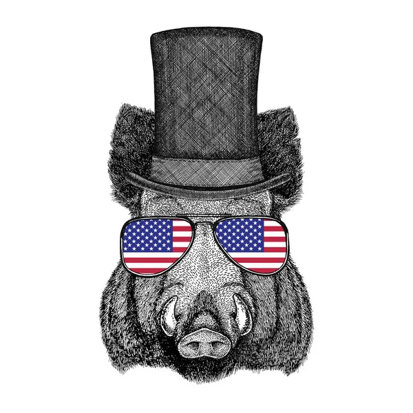 Aper, javali, porco, porco, javali usando chapéu de topo de cilindro e óculos com bandeira dos EUA Estados Unidos da América — Fotografia de Stock
