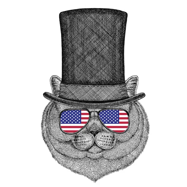 Registreerden nobele kat mannelijke dragen cilinder hoge hoed en bril met usa vlag vlag van de Verenigde Staten van Amerika — Stockfoto