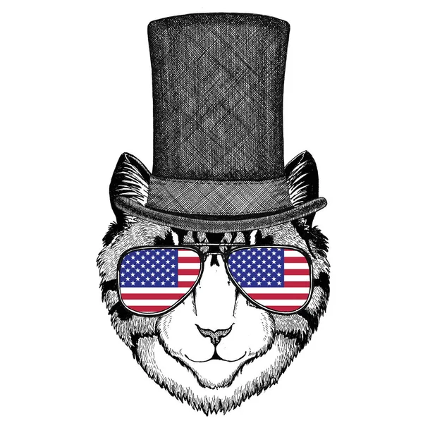 Házimacska visel, hengeres top kalap és szemüveg usa zászló az amerikai zászló képe — Stock Fotó