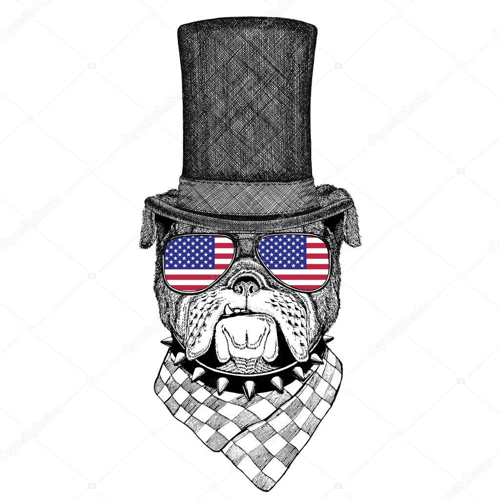 Bulldog wearing cylinder top hat and glasses with usa flag United states of America flag