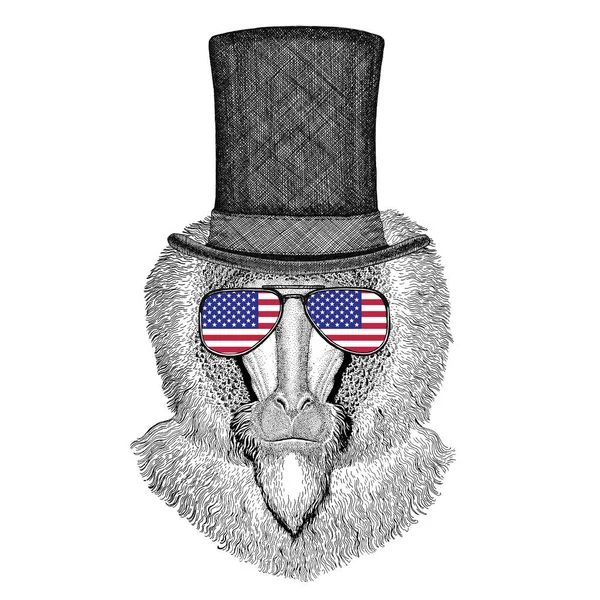 Małpa, Pawian, pies małpa, małpa noszenia butli góry kapelusz i okulary z usa flaga flaga Stanów Zjednoczonych — Zdjęcie stockowe
