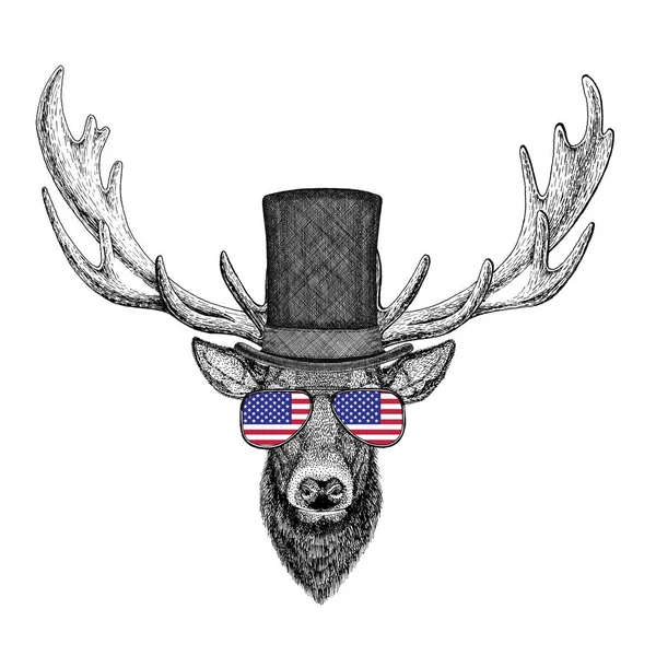 Deer wearing cylinder top hat and glasses with usa flag United states of America flag — Stock Photo, Image