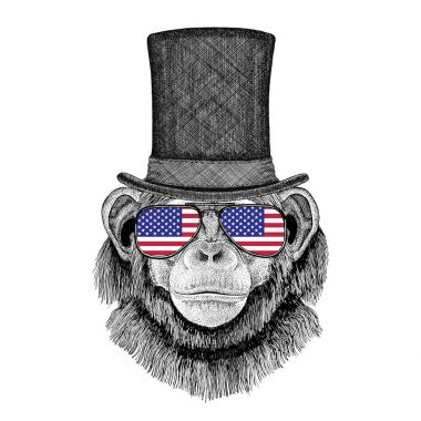 Silindir şapka ve gözlük ABD bayrağı Amerika Birleşik Devletleri bayrağı ile şempanze maymun
