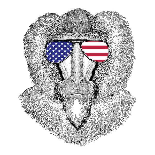 Aap, baviaan, hond-aap, ape Hand getrokken illustratie voor tattoo, — Stockfoto