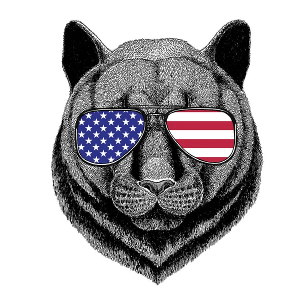 Panther Puma Cougar Wildkatze handgezeichnete Illustration für Tätowierung, — Stockfoto