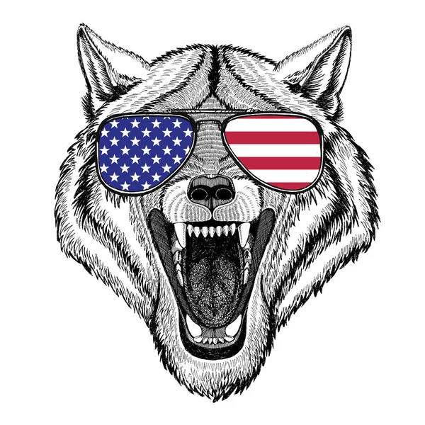 狼的狗野生动物手绘制的插图的纹身，会徽, — 图库照片