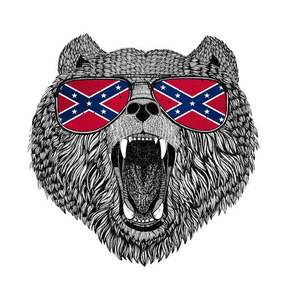 Urso marrom urso russo usando óculos com bandeira nacional dos Estados Confederados da América Usa bandeira óculos animal selvagem para t-shirt, cartaz, crachá, banner, emblema, logotipo — Fotografia de Stock