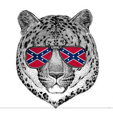 Vahşi kedi leopar kedi-o-dağ Panter'in gözlük ulusal bayrak ile Amerika ABD Konfedere Devletleri gözlük vahşi hayvan bayrak t-shirt, poster, rozet, banner, amblem, logo