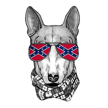 Köpek Amerika ABD bayrağı gözlük vahşi hayvan Konfedere Devletleri ulusal bayrak ile gözlük takan t-shirt, poster, rozet, banner, amblem, logo için t-shirt tasarım için