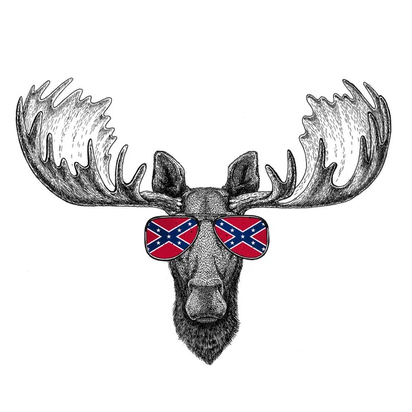 Jávorszarvas, jávorszarvas, szemüveg, nemzeti zászló a Konföderációs Államok Amerikai Egyesült Államok zászlócskák szemüveg vadon élő állat póló, poszter, jelvény, banner, embléma, logo — Stock Fotó