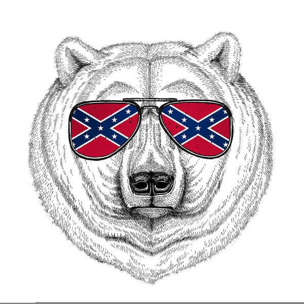 Polar bear wearing glasses with National flag of the Confederate States of America Usa flag glasses Wild animal for t-shirt, poster, badge, banner, emblem, logo — Stock Photo, Image