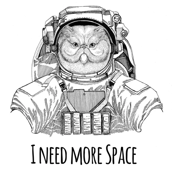 Retrato de un gato persa esponjoso con traje espacial Astronauta de animales salvajes Exploración de galaxias Ilustración dibujada a mano para camiseta — Foto de Stock
