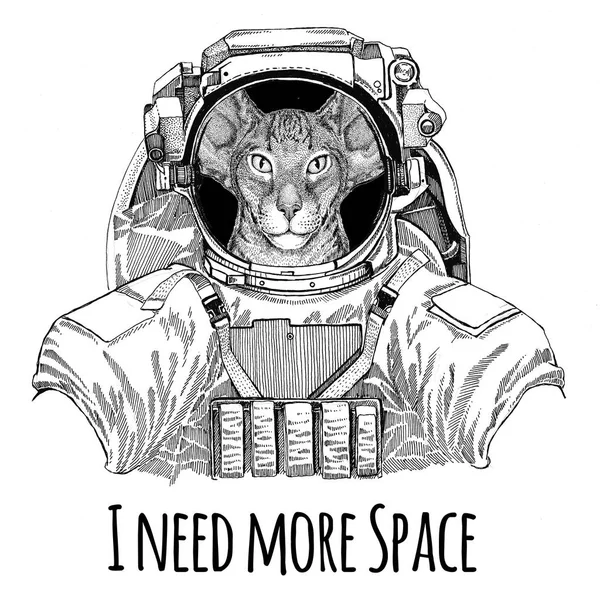 Gato oriental con orejas grandes con traje espacial Astronauta animal salvaje Explorador de galaxias Ilustración dibujada a mano para camiseta — Foto de Stock