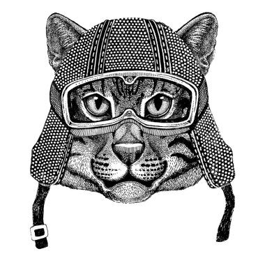 Vahşi kedi balıkçı kedi giyen vintage motosiklet kask dövme, rozet, amblem, logo, yama, t-shirt