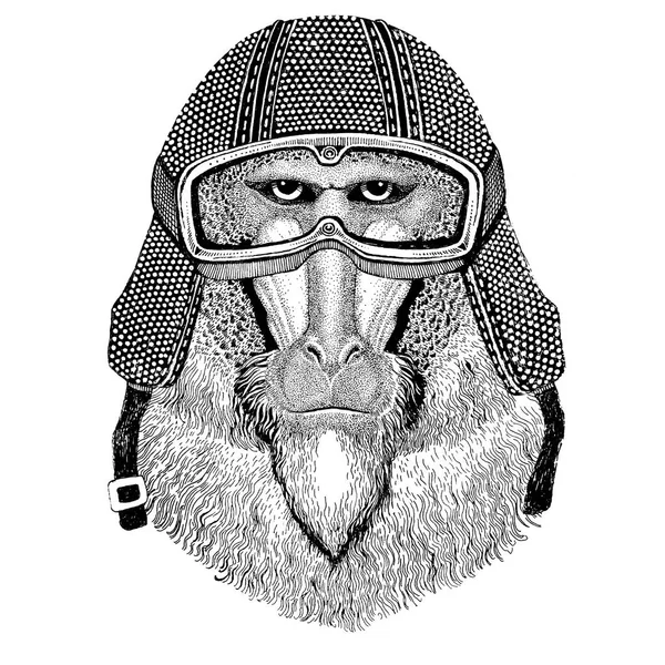 Opice, pavián, pes, opice, opice nosí vintage motocykl helma tetování, odznak, emblém, logo, oprava, tričko — Stock fotografie