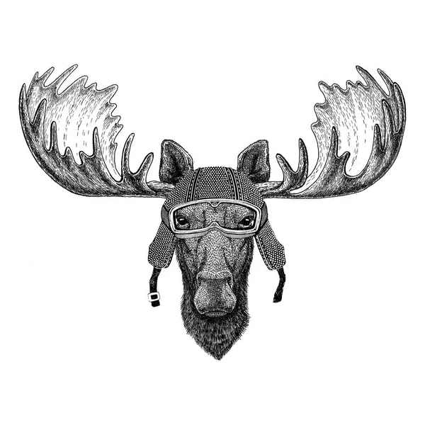 Moose, alce con casco de moto vintage Tatuaje, insignia, emblema, logotipo, parche, camiseta — Foto de Stock