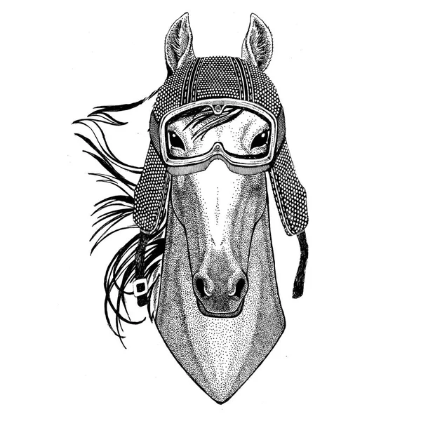 Cavallo, hoss, cavaliere, destriero, courser indossa casco moto vintage Tatuaggio, distintivo, emblema, logo, patch, t-shirt — Foto Stock