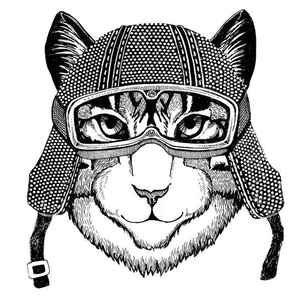 Изображение домашней кошки в винтажном мотоциклетном шлеме татуировка, значок, эмблема, логотип, пластырь, футболка — стоковое фото