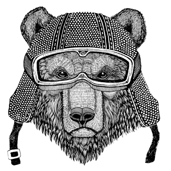 Oso marrón oso ruso con casco de motocicleta vintage tatuaje, insignia, emblema, logotipo, parche, camiseta —  Fotos de Stock