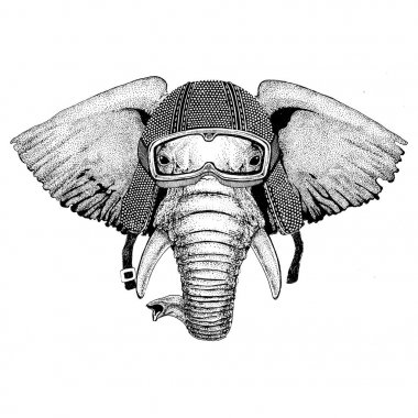 Afrika ya da Hindistan fil Vintage motosiklet giyen kask dövme, rozet, amblem, logo, yama, t-shirt