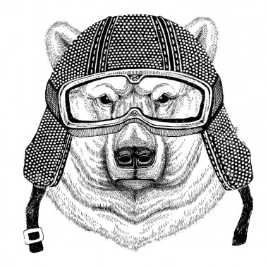 Kutup ayısı vintage motosiklet giyen kask dövme, rozet, amblem, logo, yama, t-shirt