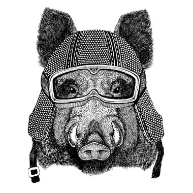 Aper, boar, hog, hog, wild boar wearing vintage motorcycle helmet Tattoo, badge, emblem, logo, patch, t-shirt clipart