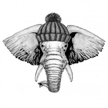 Afrika ya da Hindistan fil giyen kış örme şapka