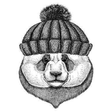 Ayı Panda, bambu ayı kış giyiyor şapka örme