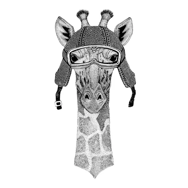 Camélope, girafe portant un casque de moto vintage Tatouage, insigne, emblème, logo, patch, t-shirt — Photo