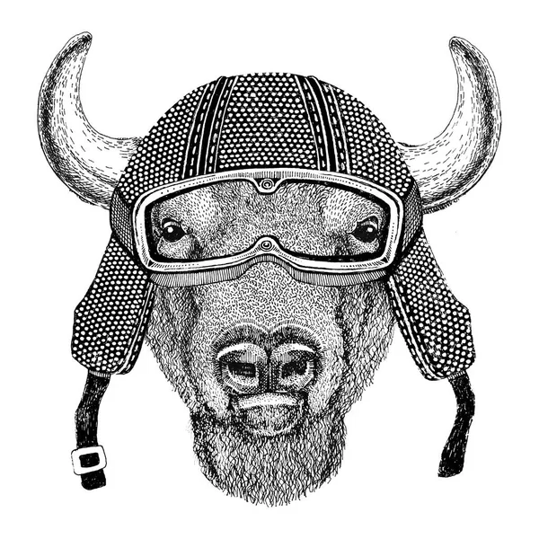 Buffalo, bison, oxe, tjuren iklädd vintage motorcykelhjälm tatuering, badge, emblem, logotyp, patch, t-shirt — Stockfoto