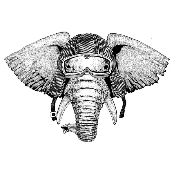 非洲或印度大象穿着老式摩托车头盔纹身、 徽章、 标志、 标识、 修补程序、 t 恤 — 图库照片