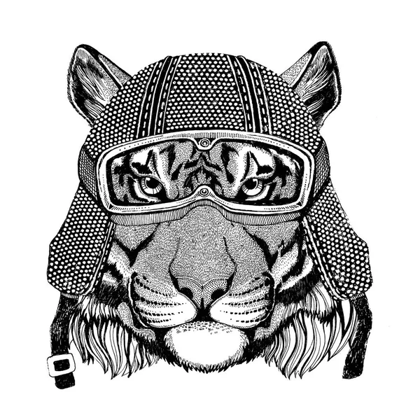 Tigre salvaje con casco de motocicleta vintage Tatuaje, insignia, emblema, logotipo, parche, camiseta —  Fotos de Stock