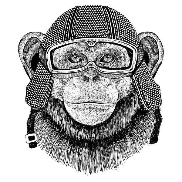 Chimpancé mono con casco de moto vintage tatuaje, insignia, emblema, logotipo, parche, camiseta —  Fotos de Stock